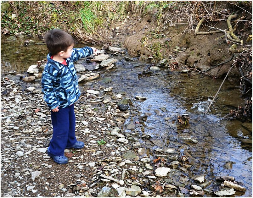 rock in creek